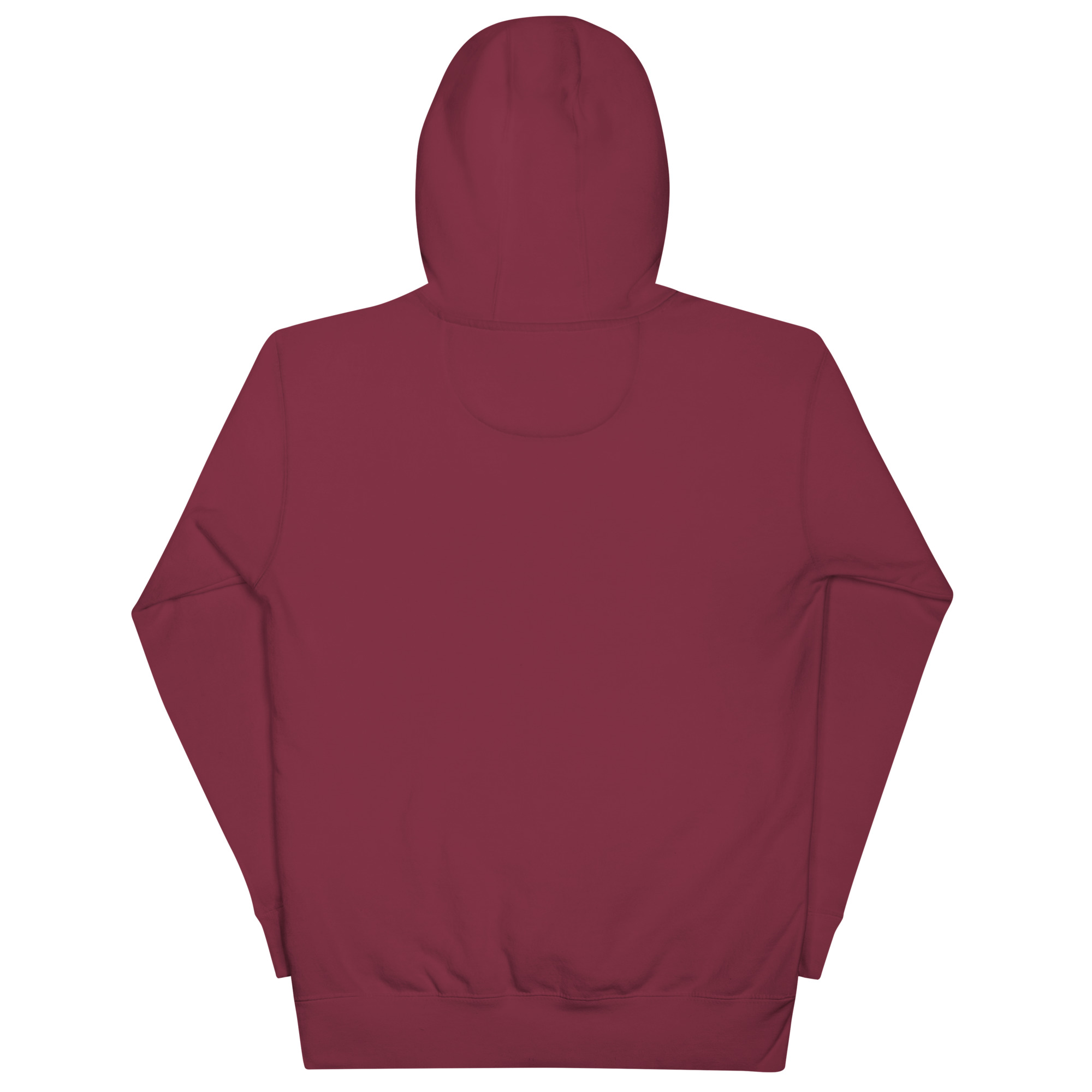 Unisex Envy Starters Hoodie - Image 10