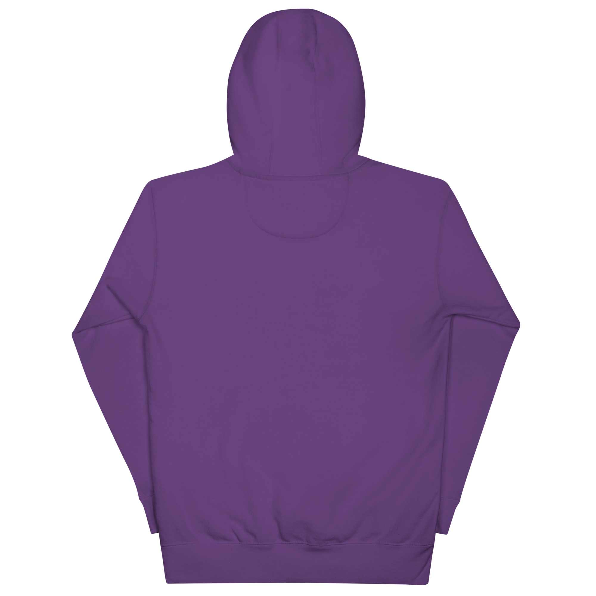 Unisex Envy Starters Hoodie - Image 14