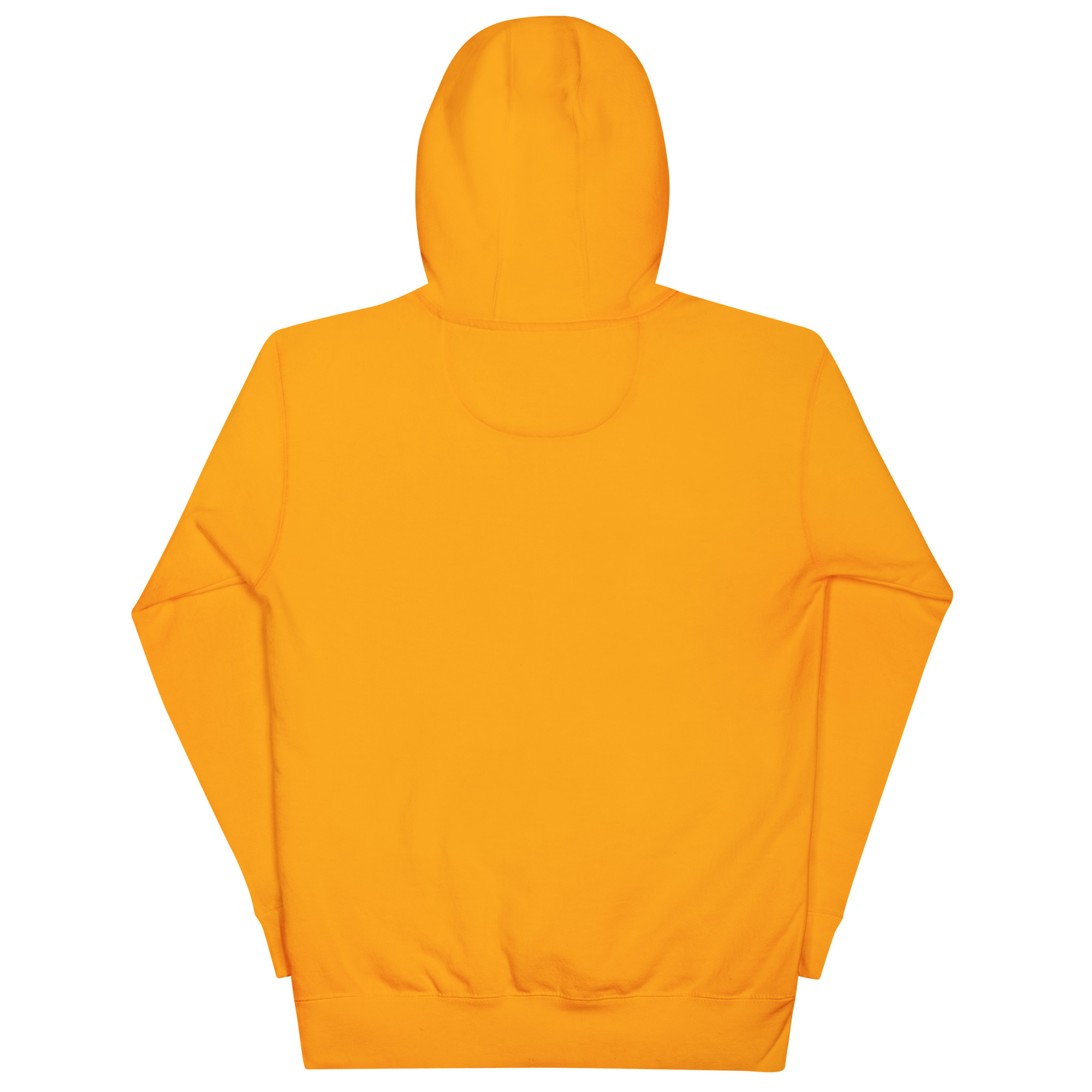 Unisex Envy Starters Hoodie - Image 21